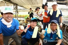 농식품부 직원들 이천 침수지역 복구작업