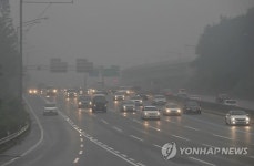 안개 주의하세요!