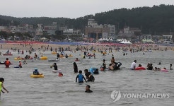 활기 찾은 만리포 해수욕장