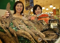 고산지 햇 산더덕 맛보세요