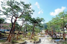 탄광 주막거리 태백 행운시장 시민공원 변모
