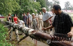 백년의 소리-가야금 너무 멋져요