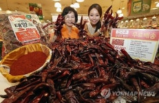 건고추 예약판매 실시