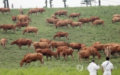 한우 우리들의 즐거운 만찬