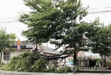 제천서 낙뢰로 관광모노레일 정지…관광객 70명 무사(종합2보)