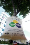 더위에 지친 가로수 이제 살겠어요