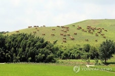 서산시 한우개량사업소 활용방안 고심