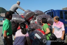 진안 마이산 고추시장 개장