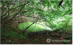 국립공원 내장산서 내륙습지 확인…생태계 보고