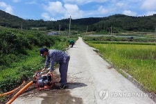 <카메라뉴스> 폭염속 진도들녘 양수작업 비지땀