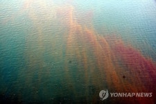적조로 삼척 임원항 회센터 활어 떼죽음