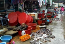 적조로 삼척 임원항 회센터 활어 떼죽음