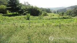 전두환 비자금 유입 의혹, 오산 땅