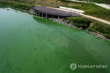 웅포대교에서 바라 본 금강 녹조