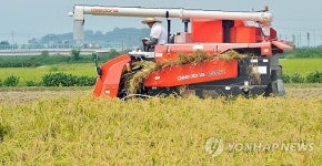 충주시, 대소원면서 올해 첫 벼베기