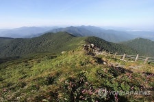 국립공원 덕유산 '야생화 군락지' 복원