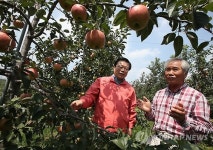 이동필 농식품장관 예산 사과농장 방문