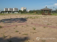 100억 들였더니…잡초만 무성한 무안 황토타운