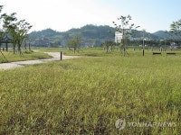 잡초만 무성한 무안 황토타운