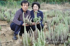 항암식물 와송·개똥쑥 전도사 박현구씨 부부