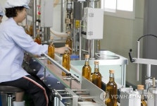 인제 향토특산주 산돌배주 생산에 박차