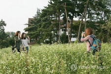 메밀꽃 필 무렵