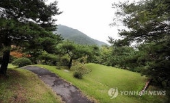 전두환 일가가 내놓기로 한 합천군 선산