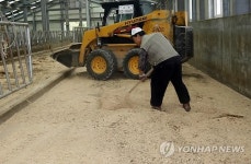 한우 축사 겨우내 뽀송뽀송하게