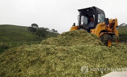 한겨울 한우 식량 준비하는 대관령
