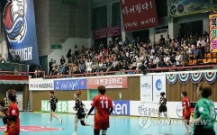 핸드볼 열기 가득한 삼척실내체육관