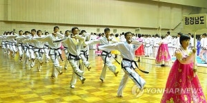 제8차 9월10일상 전국무도선수권대회 개막