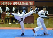 북한 전국무도선수권대회