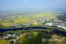 황금빛으로 물든 들판