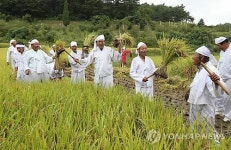 올해는 풍년일세∼