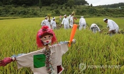 올해는 풍년일세∼