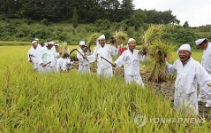 올해는 풍년일세∼