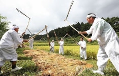도리깨질 하는 농민들