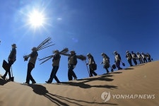 사막에 심는 희망이라는 이름의 나무