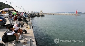 강태공들로 붐비는 서산 삼길포항