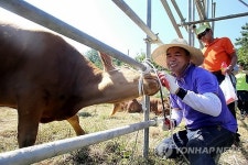 코뚜레 꿰야지…