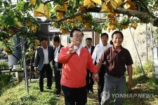이동필 장관, 배 농가 방문
