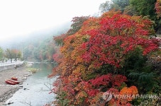 태백 철암 단풍 시작…주말 어울마당