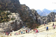 가을 정취 만끽하는 탐방객