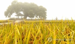 거창 들판 속 자전거