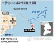 포항 앞바다서 8천t급 선박 침몰…선원 19명 실종(종합2보)