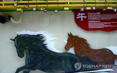 창원 오동동 소리길
