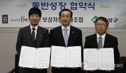 보성녹차, 카페베네와 손잡고 세계로 도약