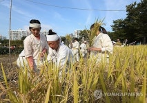 도심 속 수확
