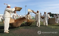 흥겨운 봉평메밀 도리깨질 소리