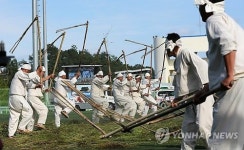 흥겨운 봉평메밀 도리깨질 소리